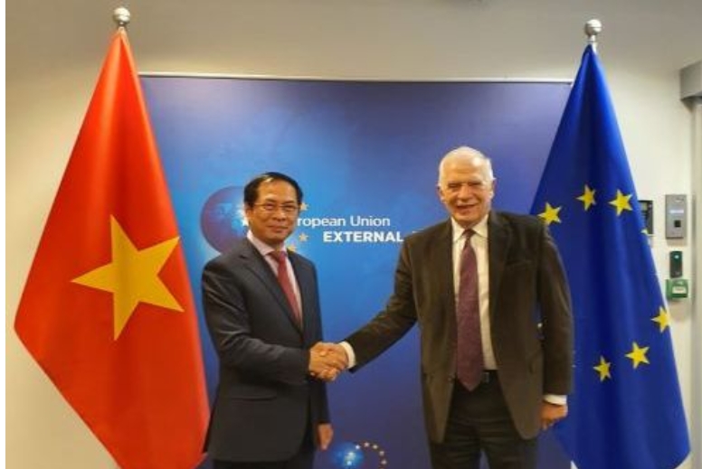 Bộ trưởng Bùi Thanh Sơn gặp với Đại diện cấp cao EU về Chính sách An ninh và Đối ngoại, Phó Chủ tịch Ủy ban châu Âu Josep Borrel